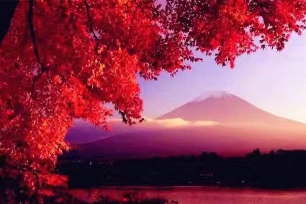 فيلا Away From Noise,View Fuji Mt In The Designer House ياماناكاكو المظهر الخارجي الصورة